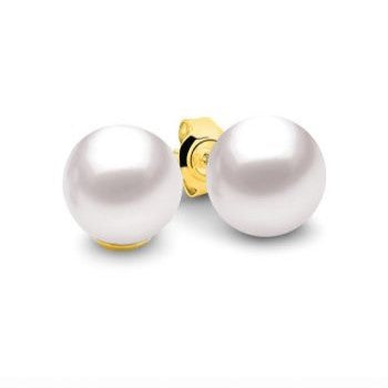 9ct Yellow Gold White Pearl Stud Earrings