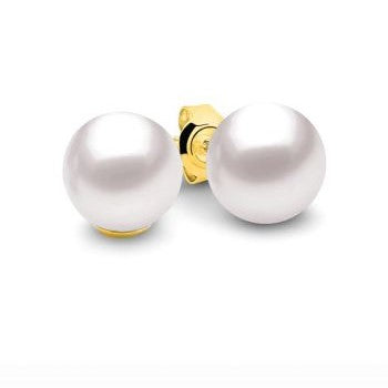 9ct Yellow Gold White Pearl Stud Earrings