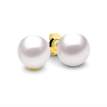 9ct Yellow Gold White Pearl Stud Earrings