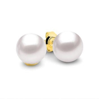 9ct Yellow Gold White Pearl Stud Earrings