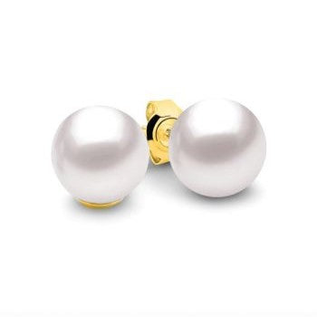 9ct Yellow Gold White Pearl Stud Earrings
