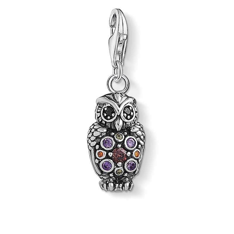 Charm Club Owl Charm