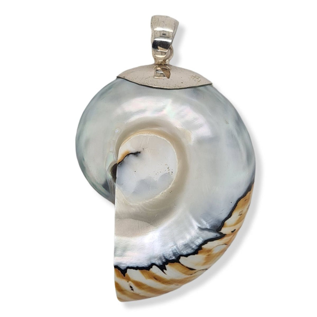 Sterling Silver Nautilus Shell Pendant