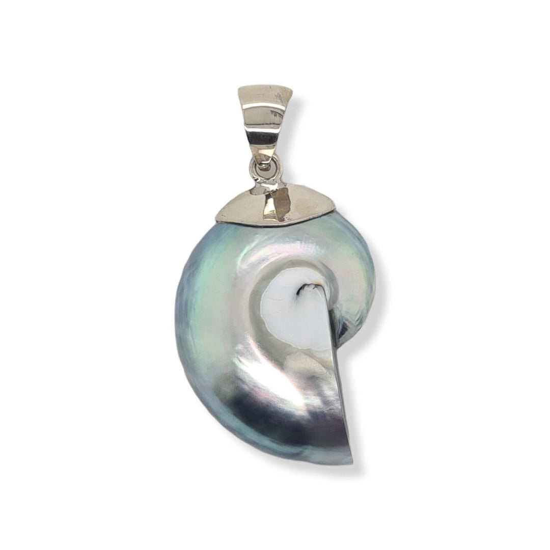 Sterling Silver Nautilus Shell Pendant1w