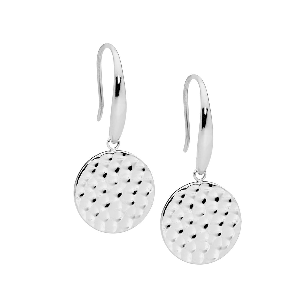 Stainless Steel Disc Shepherd Hook Earrings
